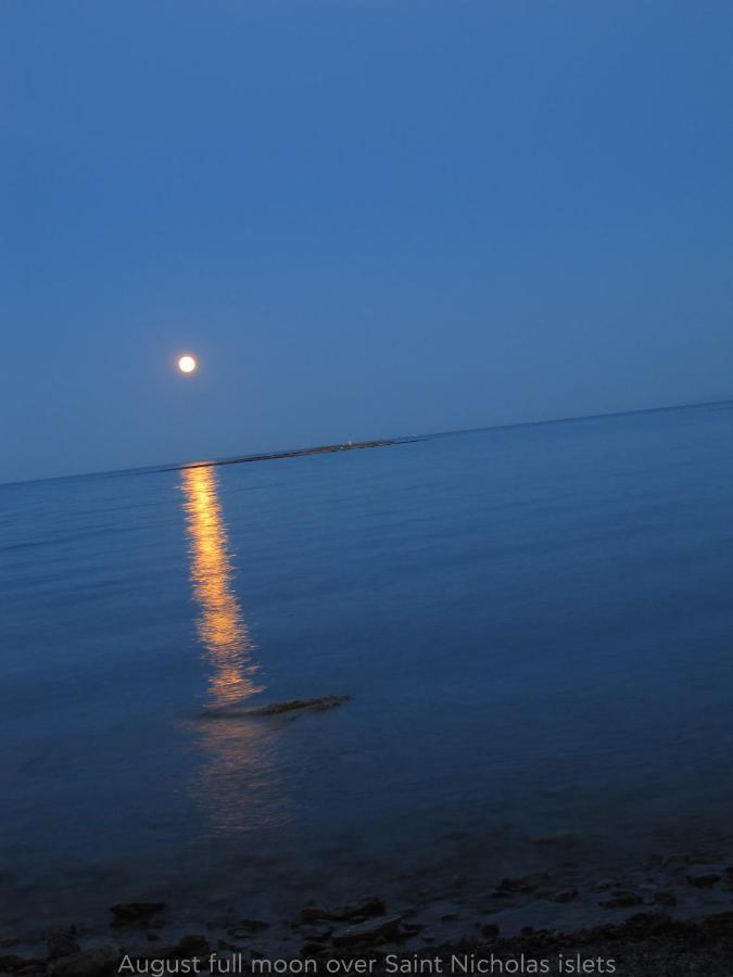 הוילה ארטמידה Alykes House Near The Sea מראה חיצוני תמונה